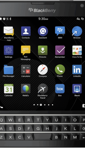 Blackberry Motion