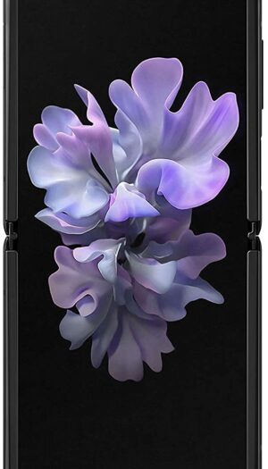 Samsung Z Flip (F700N)
