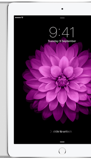 iPad Air 2 A1566/A1567