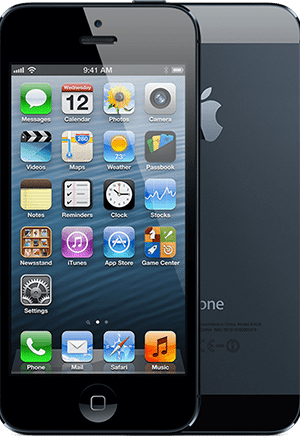 iPhone 5 (A1429, A1428)