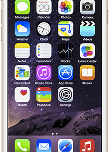 iPhone 6 Plus (A1524,A1522)