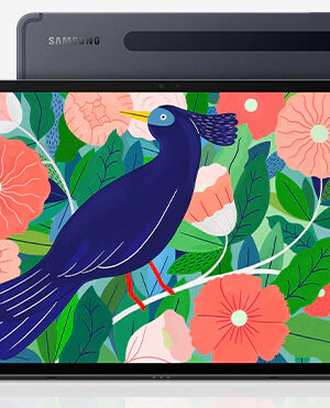 Samsung Galaxy Tab S7 Plus SM-T970, SM-T976